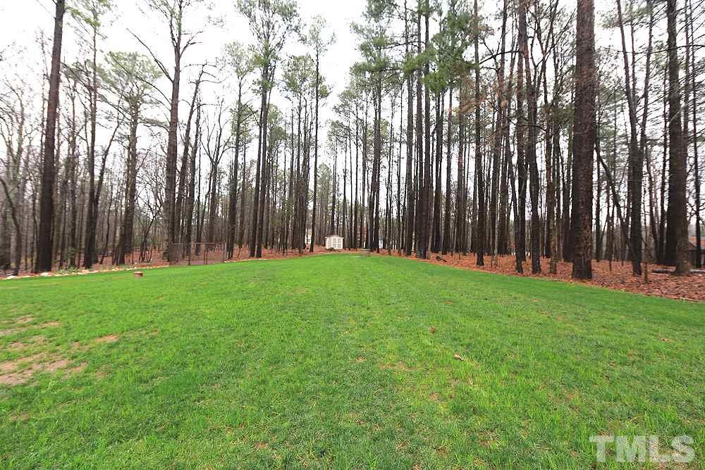 5208 Strathmore Drive Raleigh, NC 27613 - Photo 26 of 30 Very spacious & very green