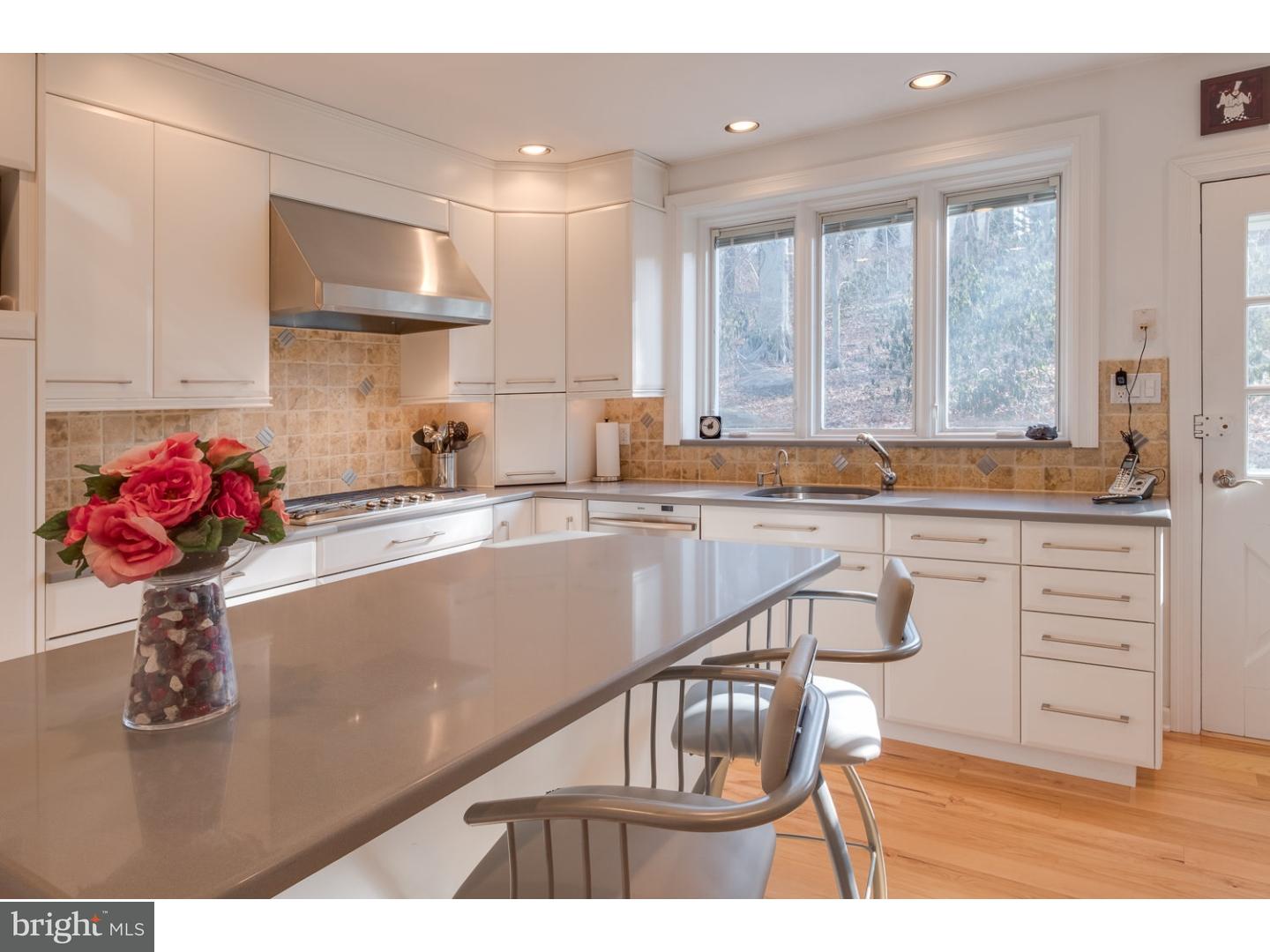 104 David Road Bala Cynwyd, PA 19004 - Photo 8 of 25 Kitchen