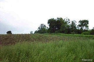 2 Farmers Creek Road Metamora, MI 48455 - Photo 1 of 1 Property Photo