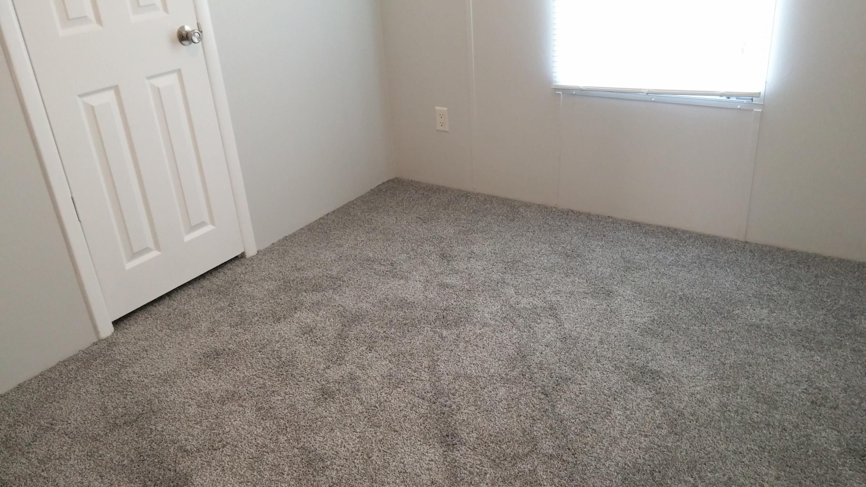294 Spring Branch Road Harleyville, SC 29448 - Photo 11 of 11 Spring Branch new carpet