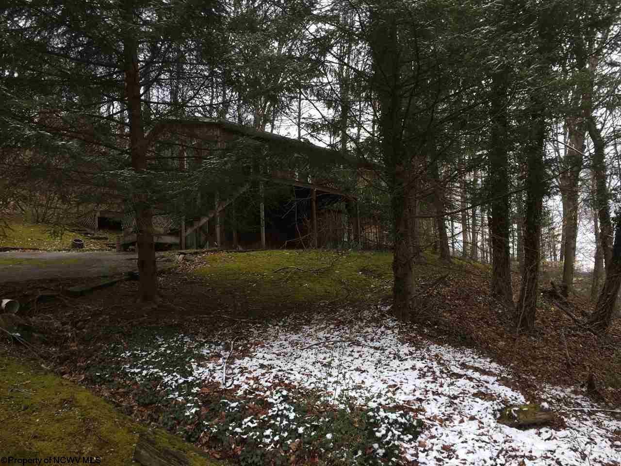 1423 Little Sand Run Road Buckhannon, WV 26201 - Photo 2 of 8 Gallery Image 2