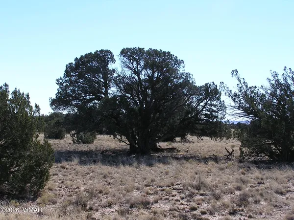 $34,900 | 9 N9131, Concho, AZ 85924