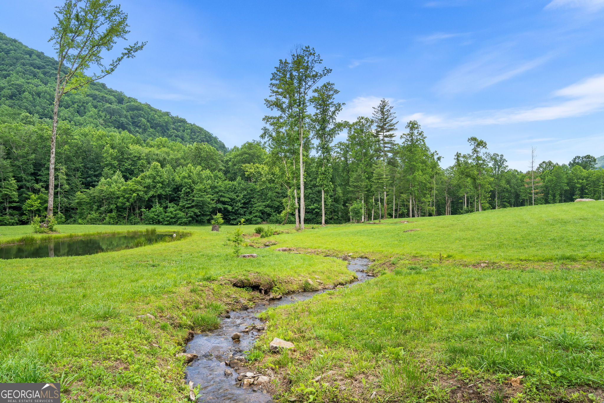 1449 Muskrat Creek Road Hayesville, NC 28904 - Photo 46 of 67