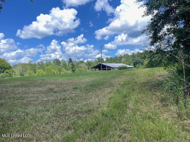 2742 King Road Forest, MS 39074 - Photo 1 of 11 IMG_4782