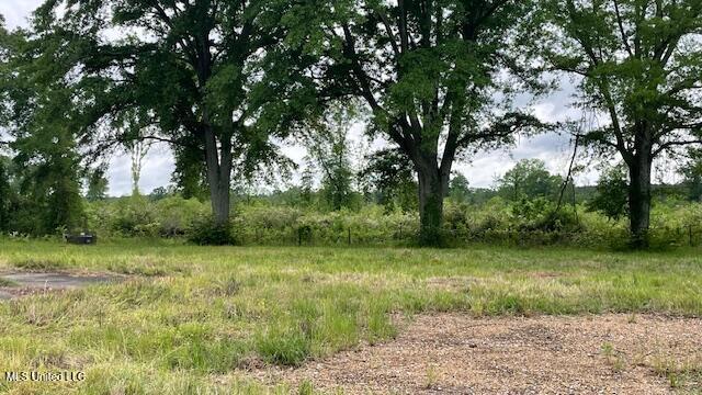 2742 King Road Forest, MS 39074 - Photo 2 of 11 IMG_0225 (2)