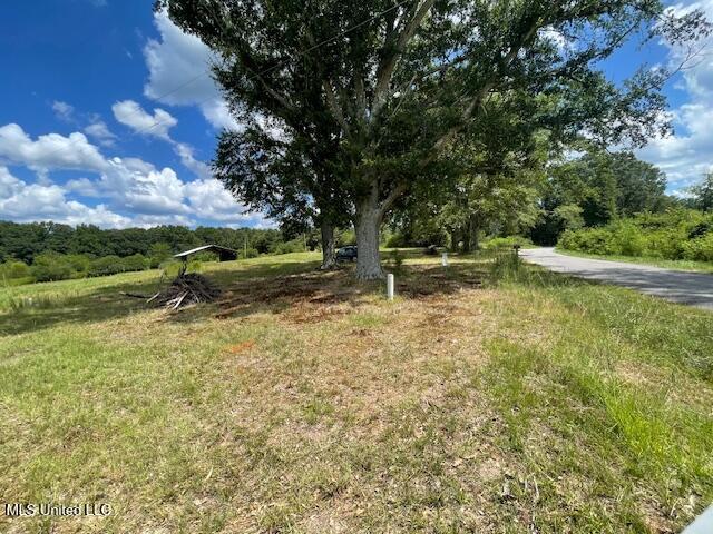 2742 King Road Forest, MS 39074 - Photo 3 of 11 IMG_4787