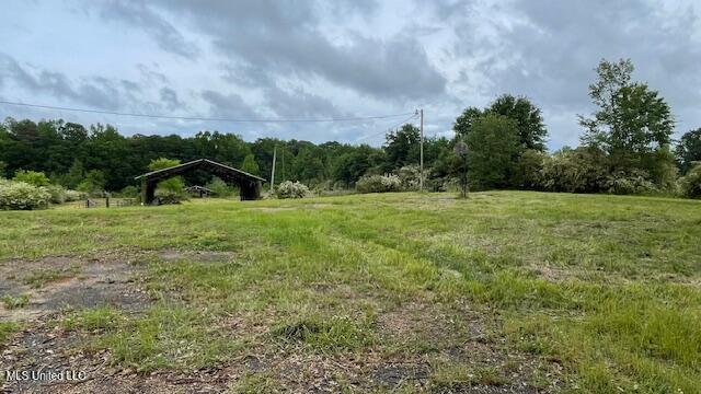 2742 King Road Forest, MS 39074 - Photo 5 of 11 IMG_0219 (1)