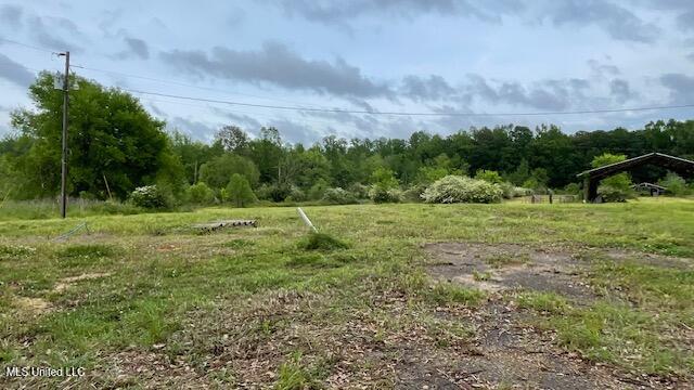 2742 King Road Forest, MS 39074 - Photo 6 of 11 IMG_0217 (2)