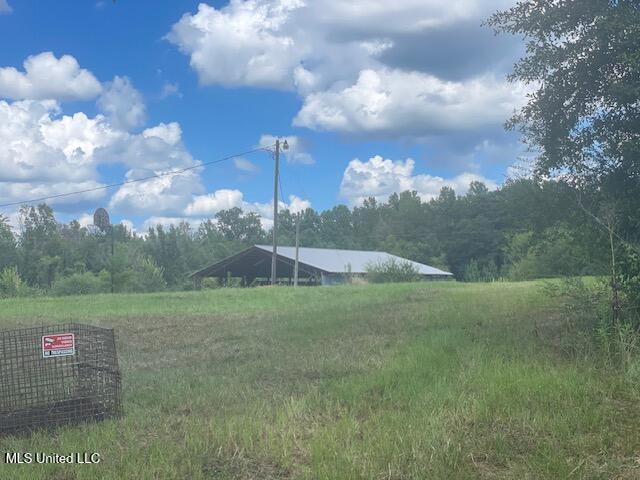 2742 King Road Forest, MS 39074 - Photo 8 of 11 IMG_4777 (1)