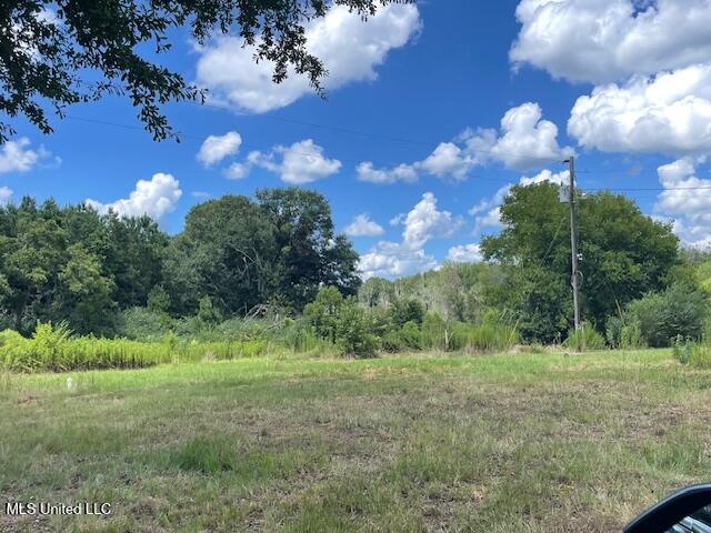 2742 King Road Forest, MS 39074 - Photo 9 of 11 IMG_4790