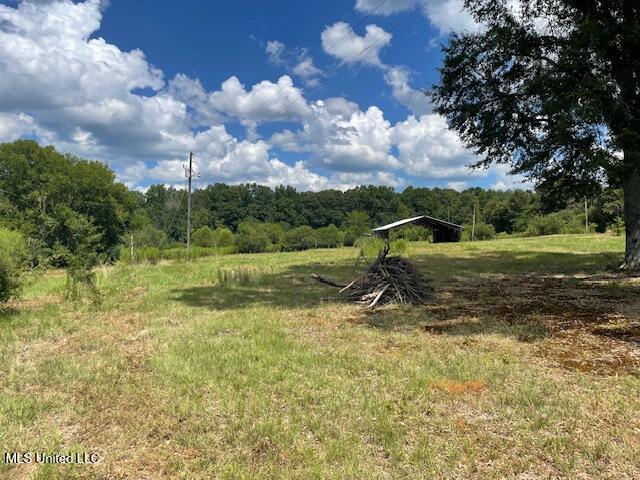 2742 King Road Forest, MS 39074 - Photo 10 of 11 IMG_4786