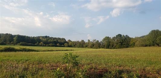 1 No Pone Road Georgetown, TN 37336 - Photo 10 of 11