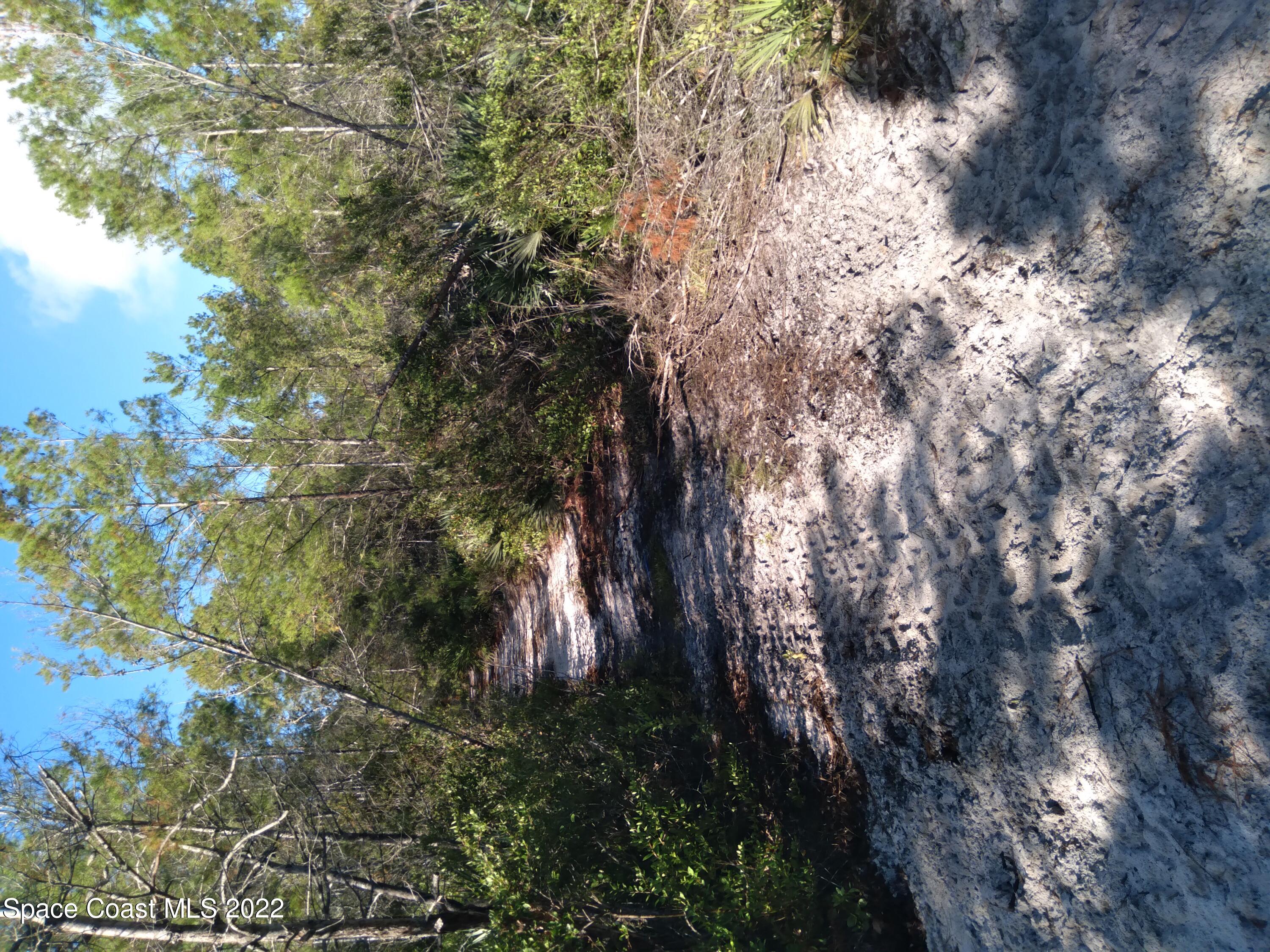 0 Unknown Road Mims, FL 32754 - Photo 1 of 6 Vacant lot