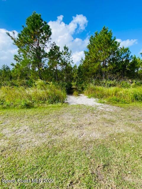 0 Unknown Road Mims, FL 32754 - Photo 4 of 6 path to mims vacant lot