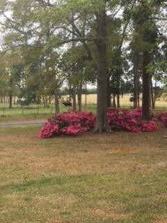 450 Hi-Cotton Lane Springfield, SC 29146 - Photo 37 of 41