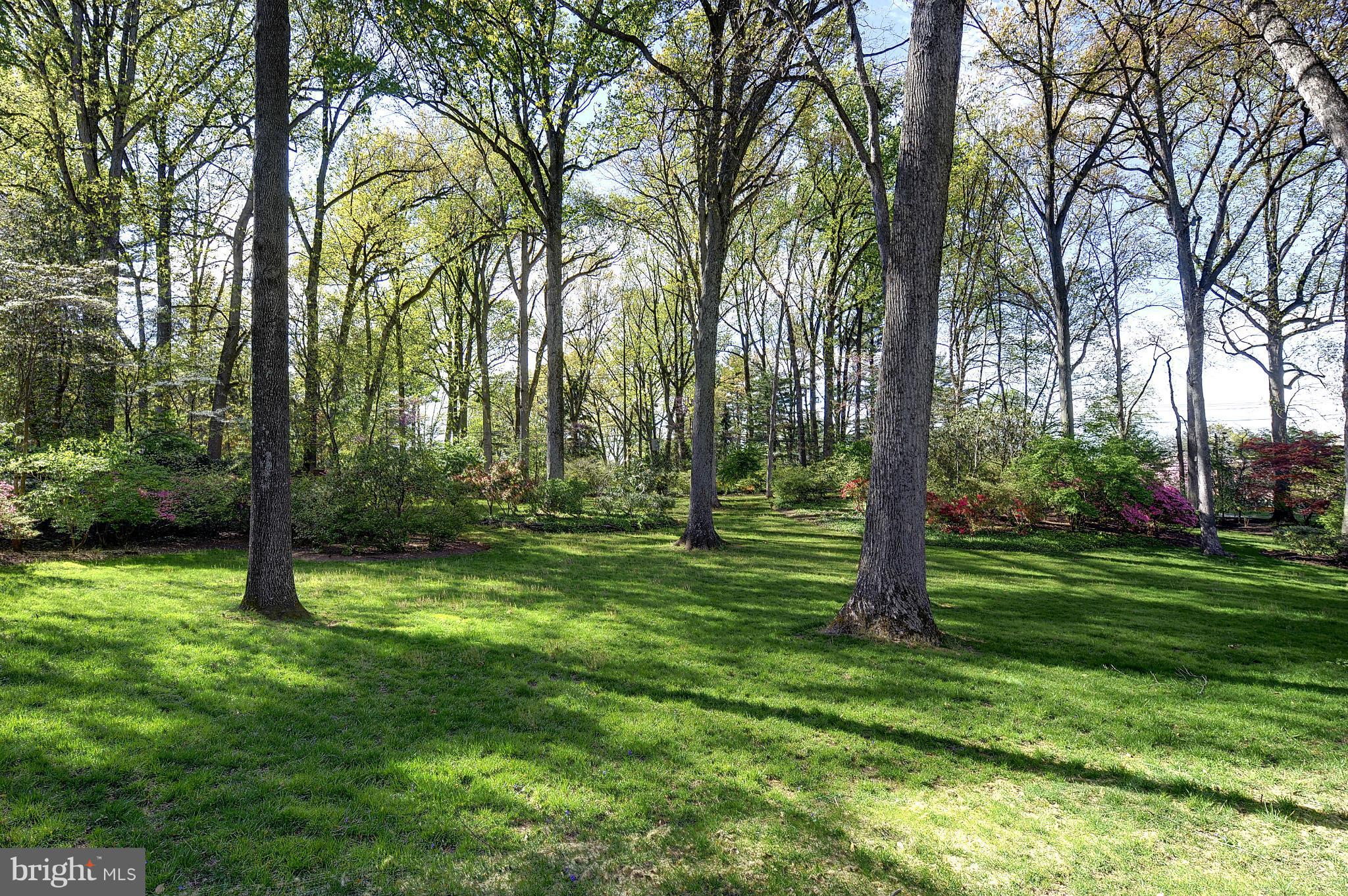 6750 Greentree Road Bethesda, MD 20817 - Photo 26 of 28 Grounds