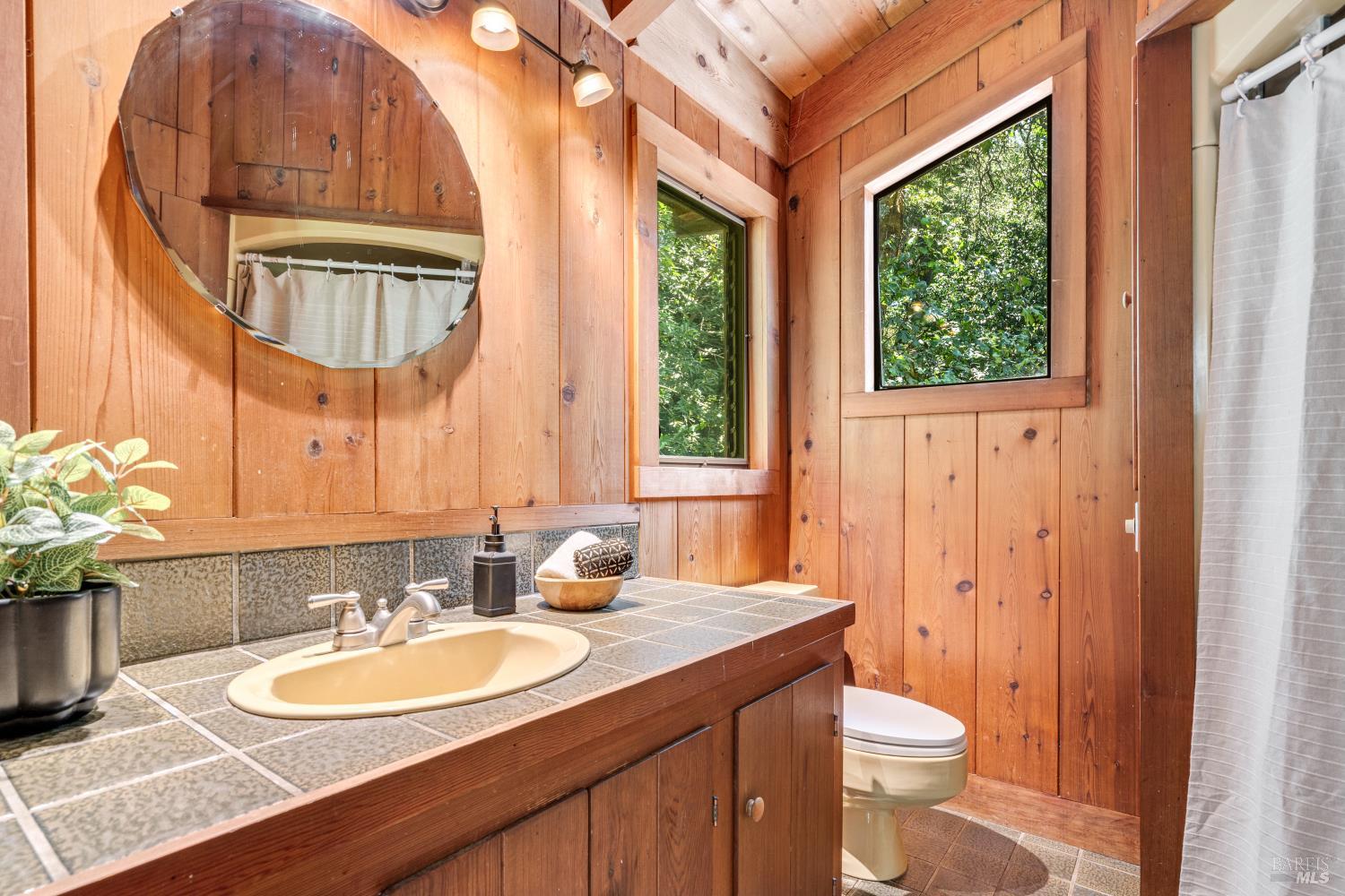 805 Wagnon Road Sebastopol, CA 95472 - Photo 30 of 56 a bathroom with a sink a toilet and a mirror