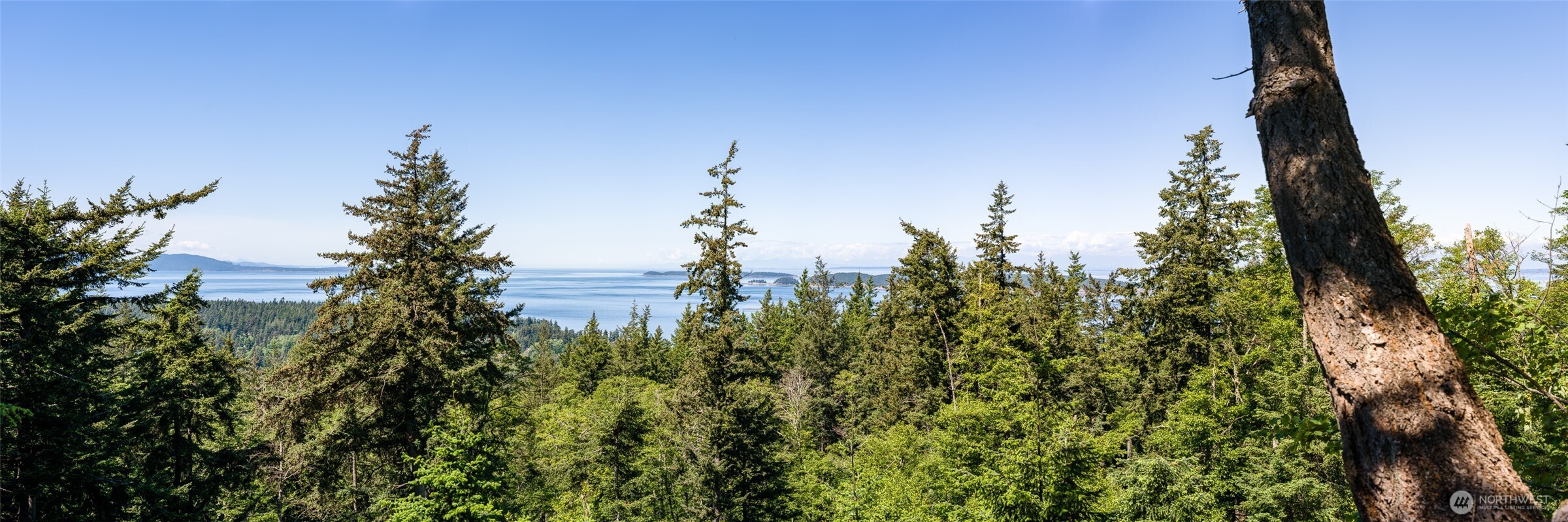 540 Wright Road Orcas Island, WA 98245 - Photo 3 of 40