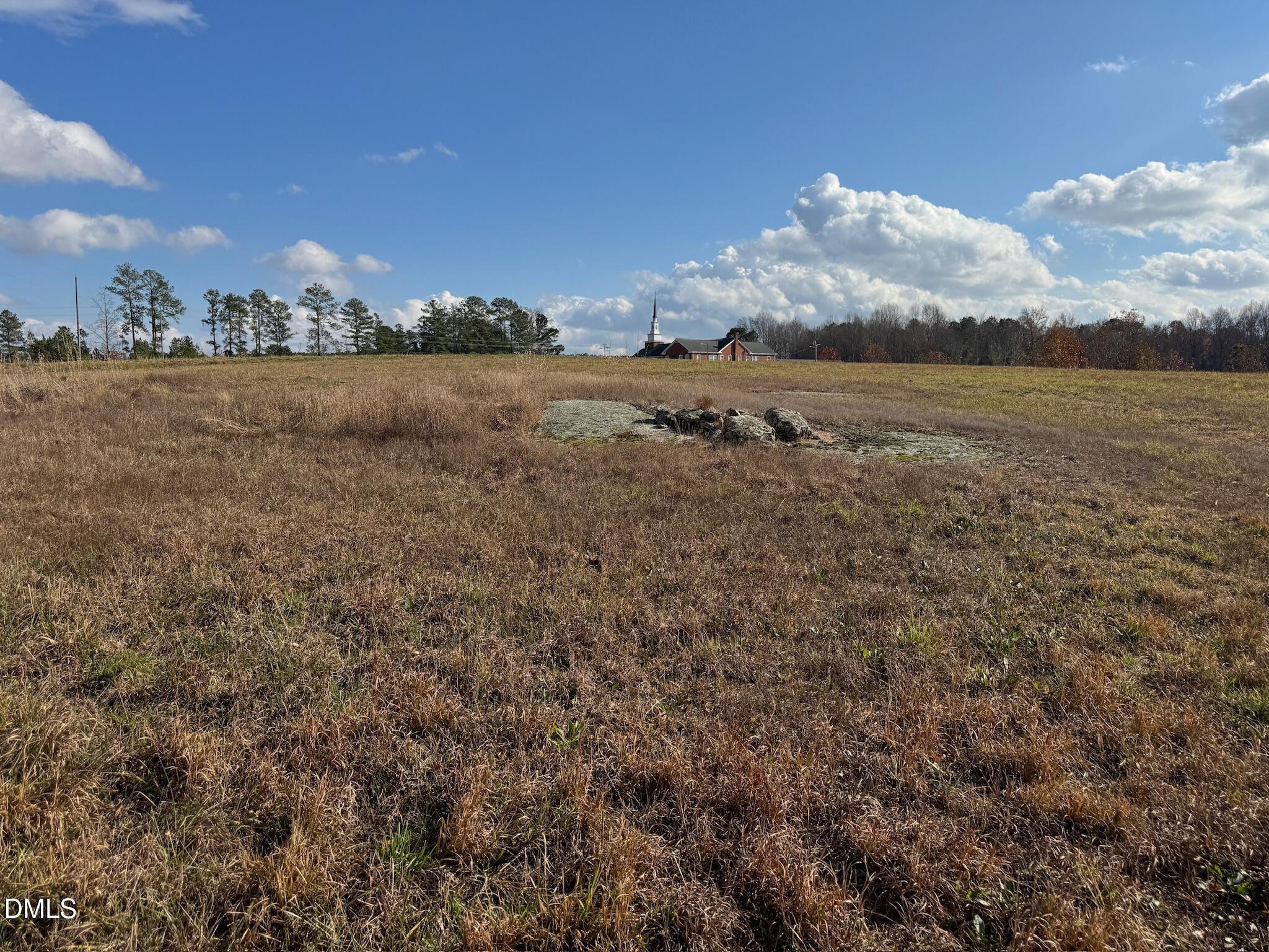 0 Martin Road Zebulon, NC 27597 - Photo 33 of 41 IMG_8735