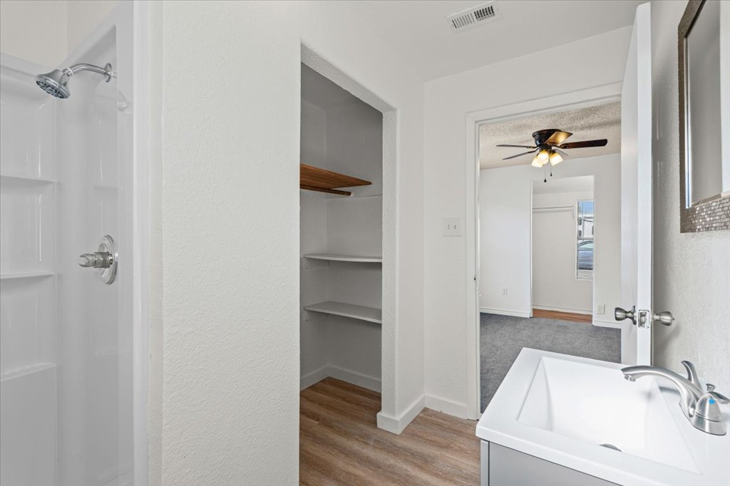 205 Cisneros Street Kyle, TX 78640 - Photo 12 of 17 Bathroom with vanity, a shower stall, light wood-type flooring, and ceiling fan