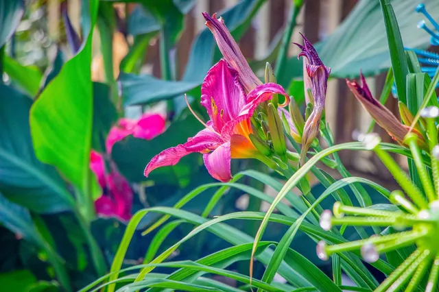 $370,000 | 2955 St Onge Drive Northeast, Bemidji, MN 56601