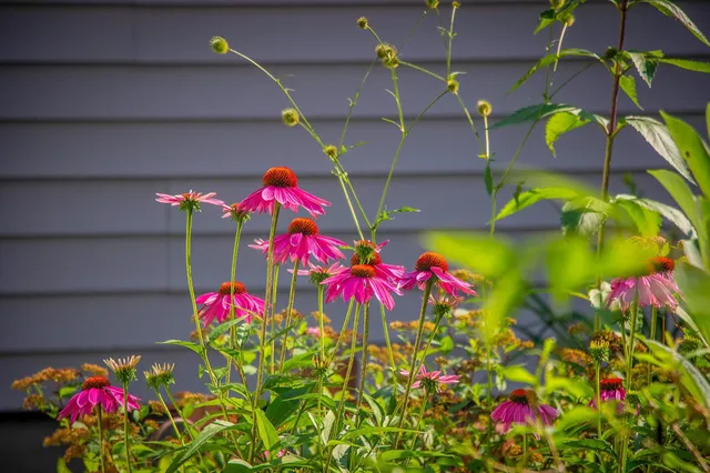 $370,000 | 2955 St Onge Drive Northeast, Bemidji, MN 56601