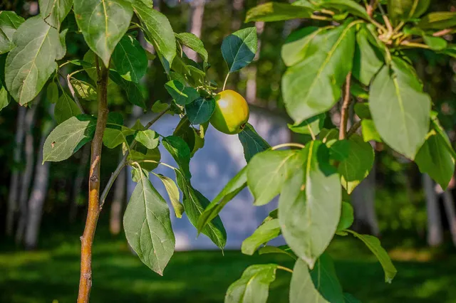 $370,000 | 2955 St Onge Drive Northeast, Bemidji, MN 56601