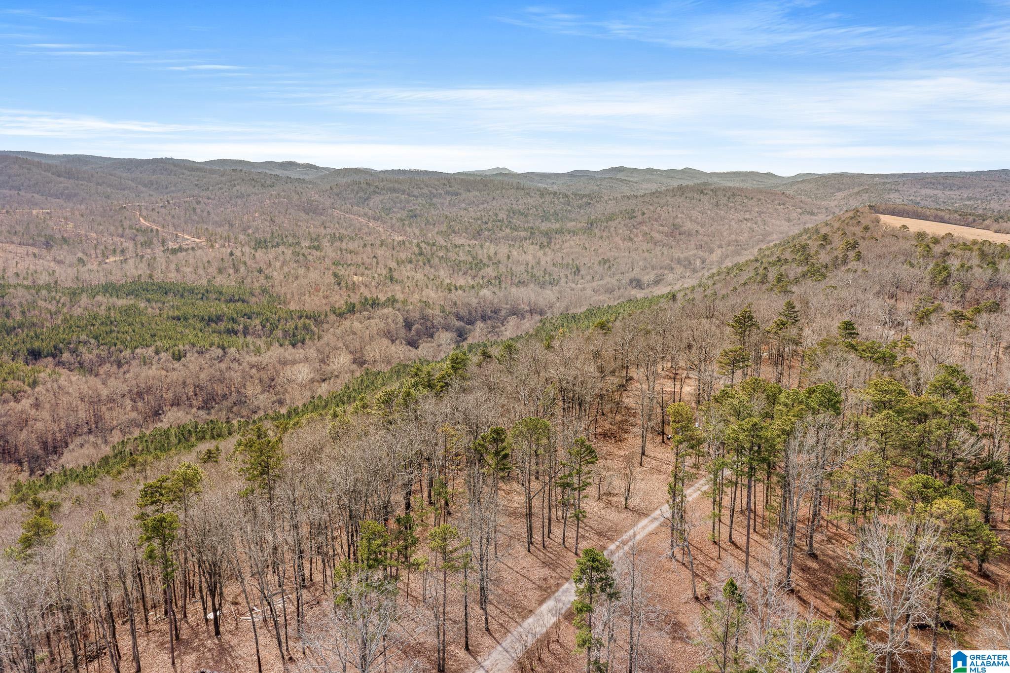 575 Mountain View Lane Springville, AL 35146 - Photo 73 of 84