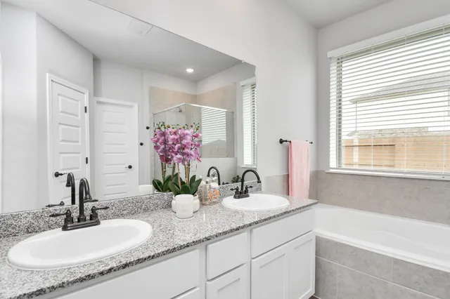 a bathroom with a double vanity sink mirror and shower