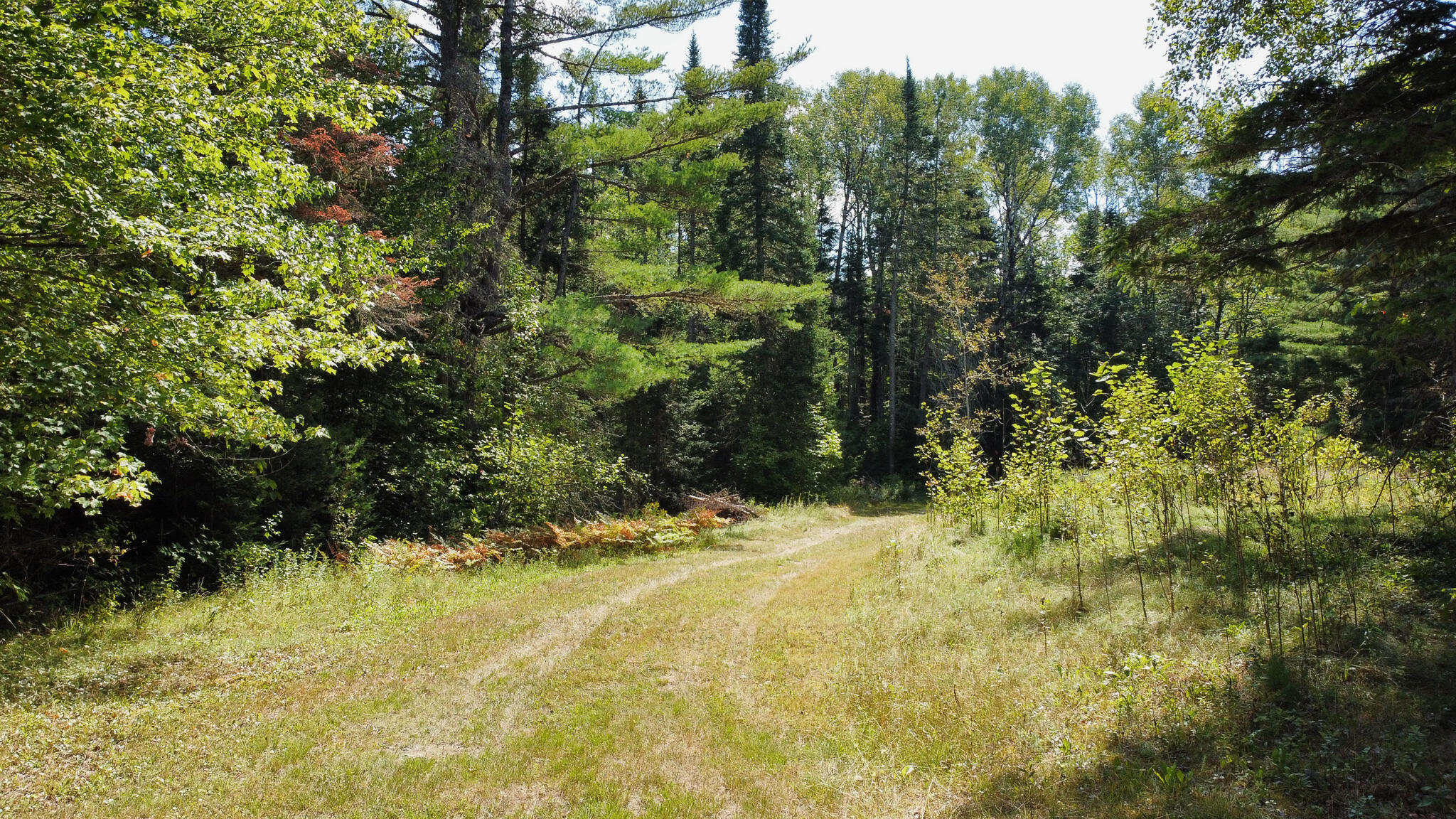 251 Springfield Road Winn, ME 04495 - Photo 14 of 17 14