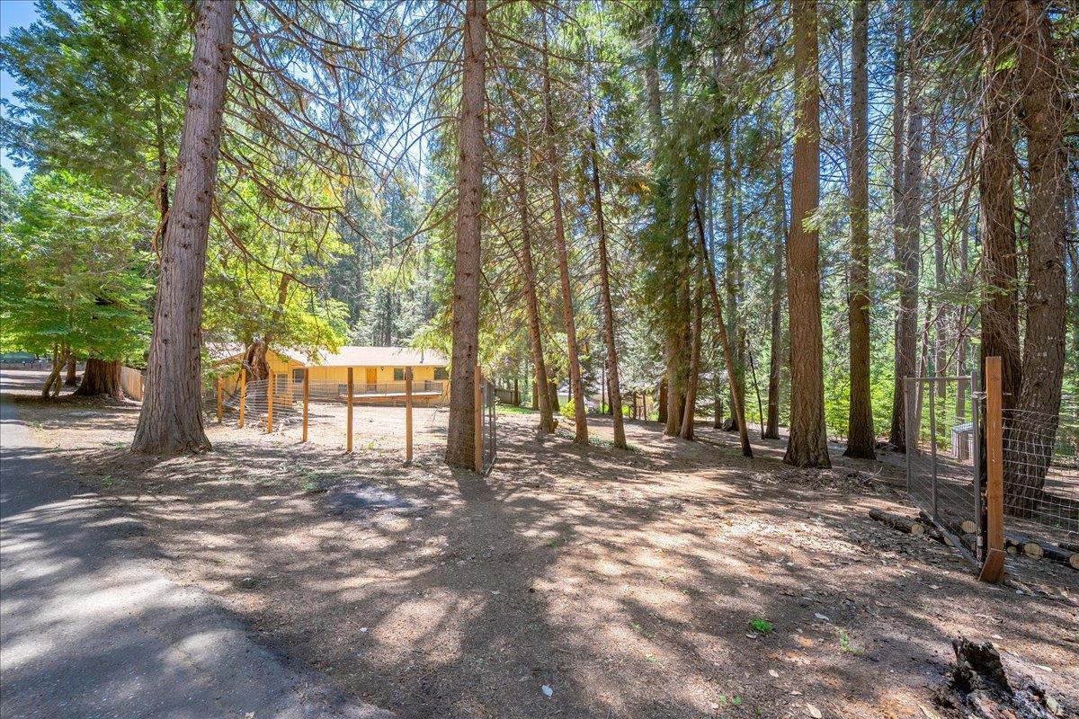 2226 Blair Road Pollock Pines, CA 95726 - Photo 46 of 58