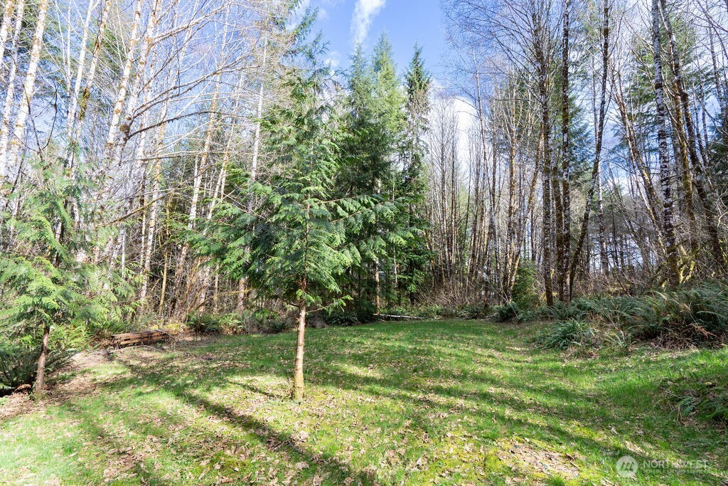 50 Raspberry Road Elma, WA 98541 - Photo 18 of 24