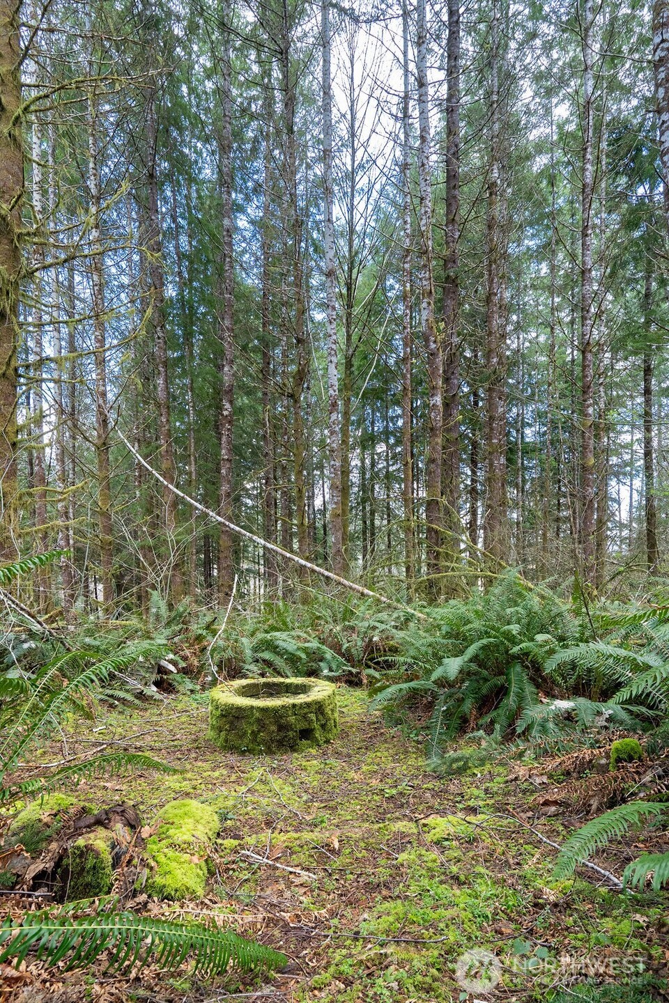 50 Raspberry Road Elma, WA 98541 - Photo 19 of 24