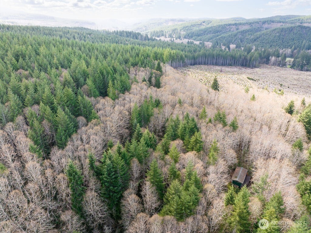 50 Raspberry Road Elma, WA 98541 - Photo 21 of 24