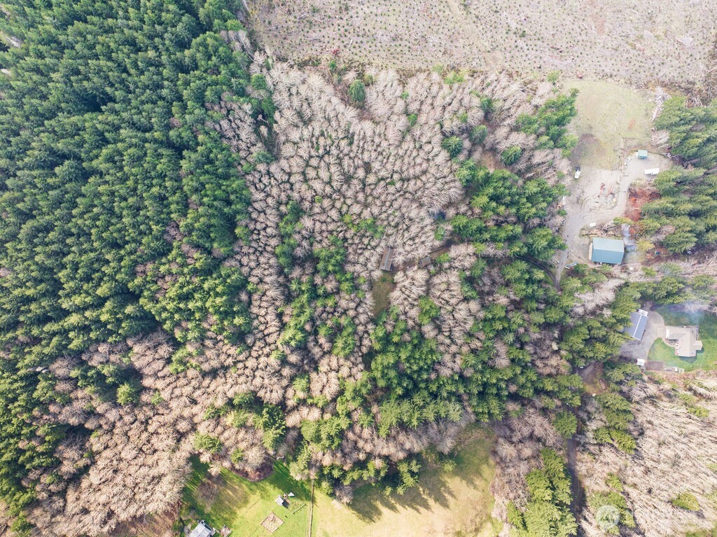 50 Raspberry Road Elma, WA 98541 - Photo 22 of 24