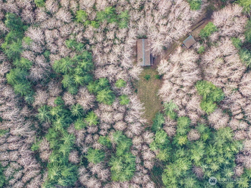 50 Raspberry Road Elma, WA 98541 - Photo 23 of 24