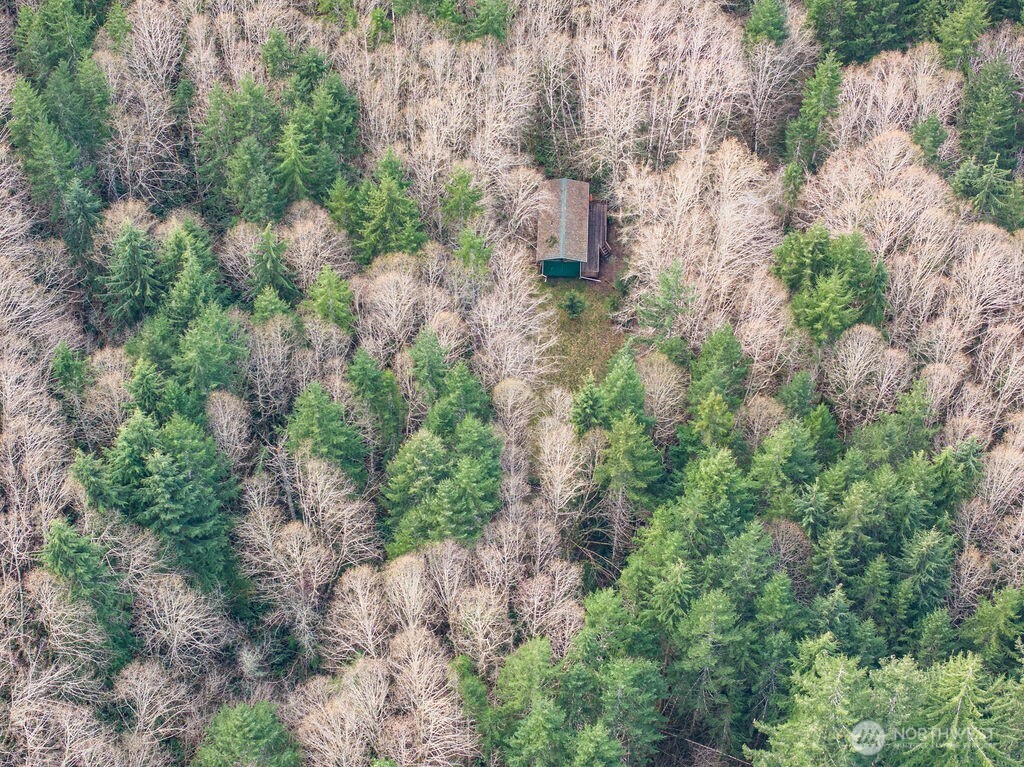 50 Raspberry Road Elma, WA 98541 - Photo 24 of 24