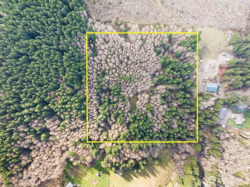 50 Raspberry Road Elma, WA 98541 - Photo 5 of 24