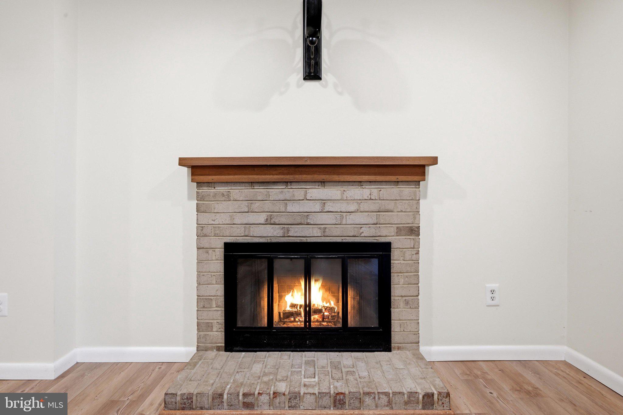 8811 Burbank Road Annandale, VA 22003 - Photo 39 of 53 Fireplace