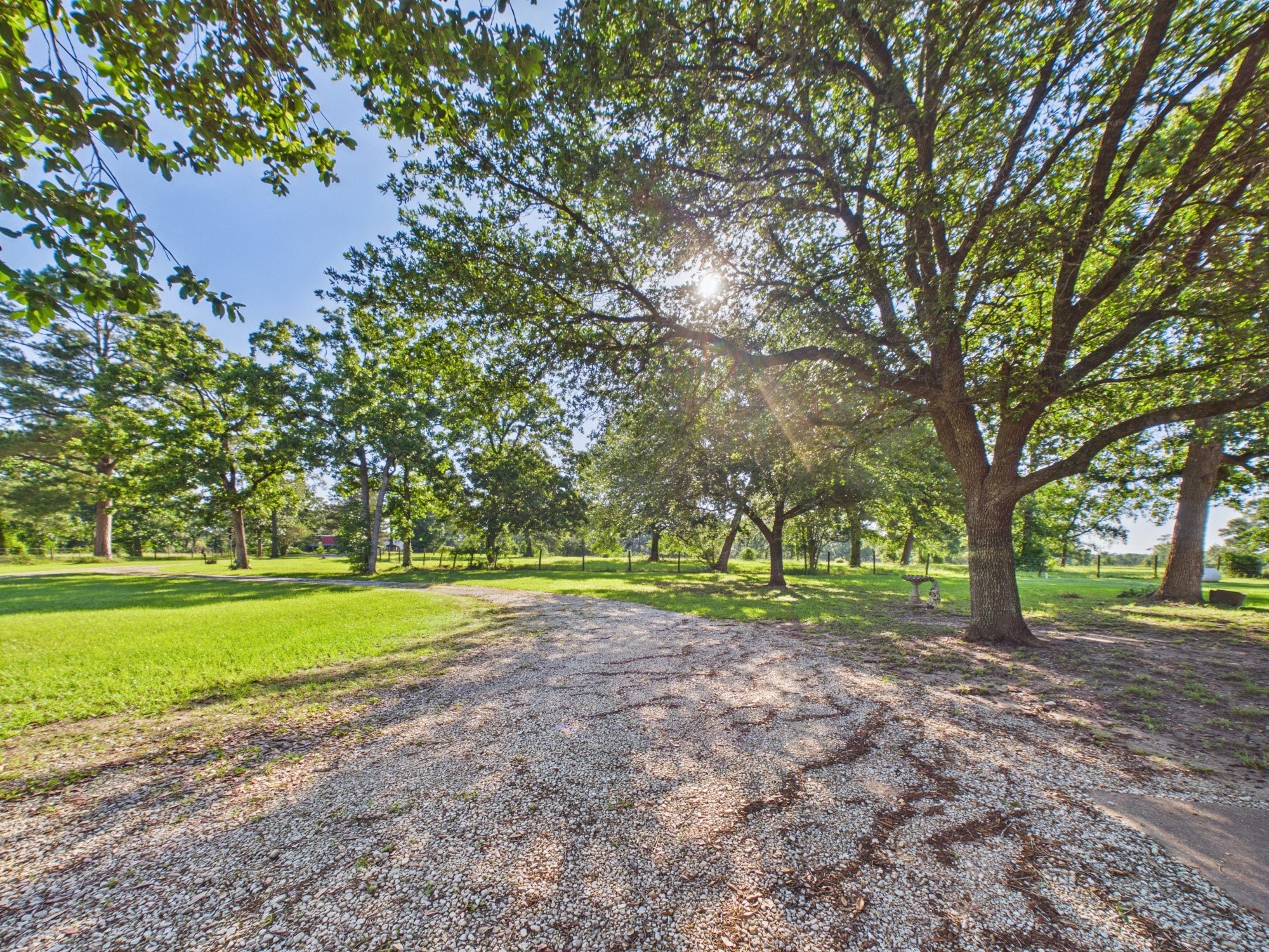 12 Harding Road Huntsville, TX 77340 - Photo 5 of 20 a view of a park with large trees