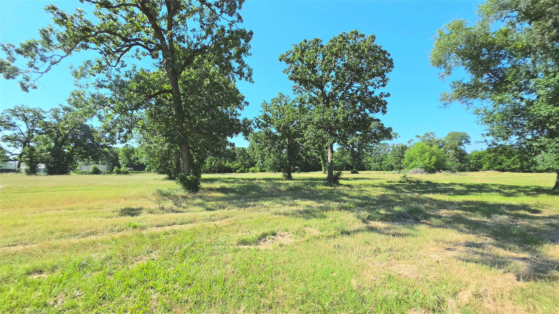 12 Harding Road Huntsville, TX 77340 - Photo 7 of 20 a view of a trees with a yard