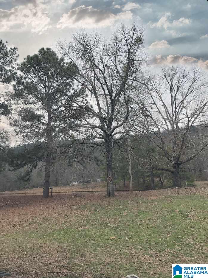 346 Hunters Lane Vandiver, AL 35176 - Photo 37 of 38
