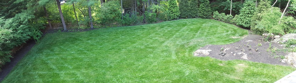 21 Cypress Road Wellesley, MA 02481 - Photo 23 of 23 a view of a lush green space