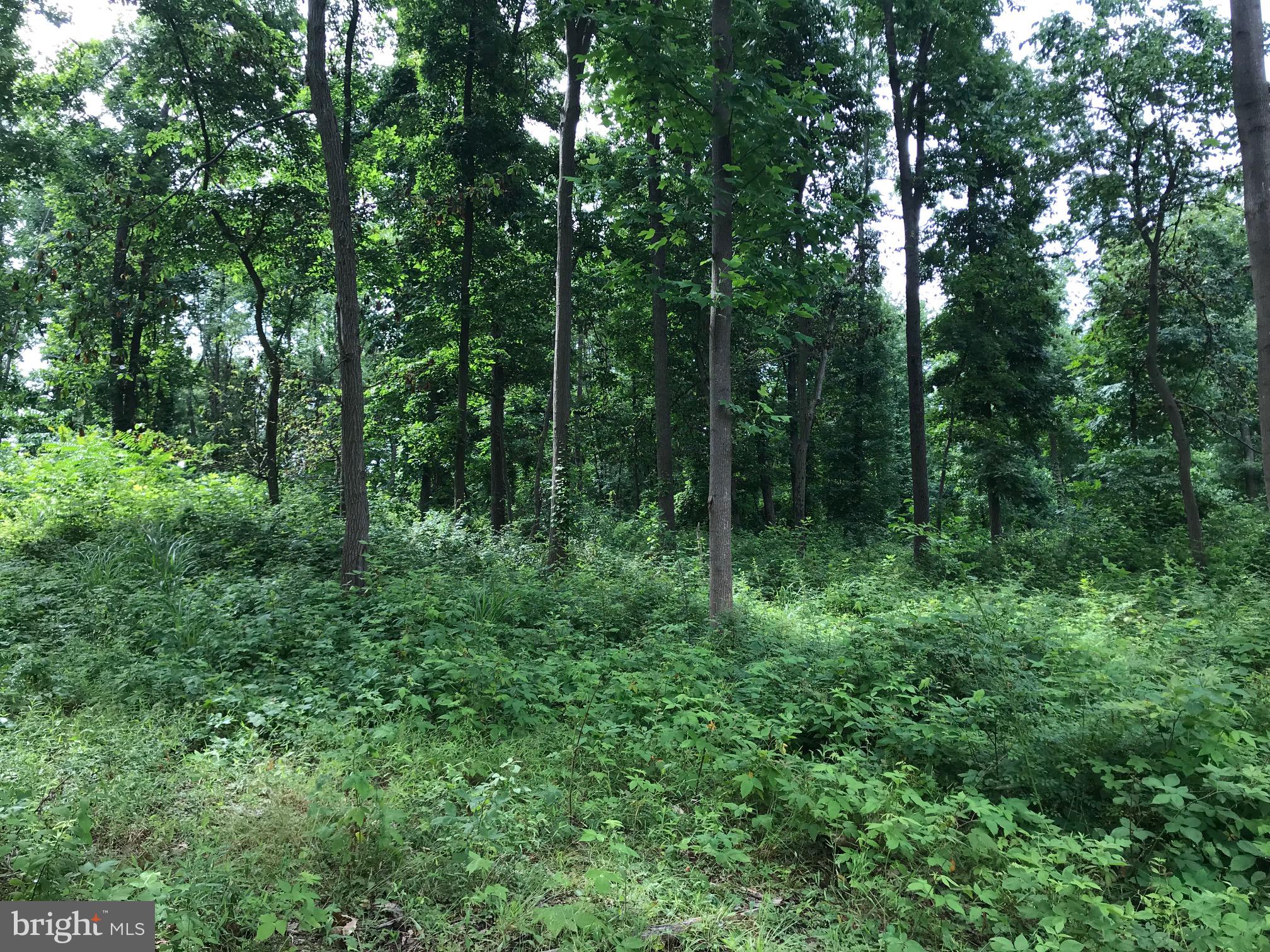 Lot 2 Brehm Road Westminster, MD 21157 - Photo 3 of 7 Lot