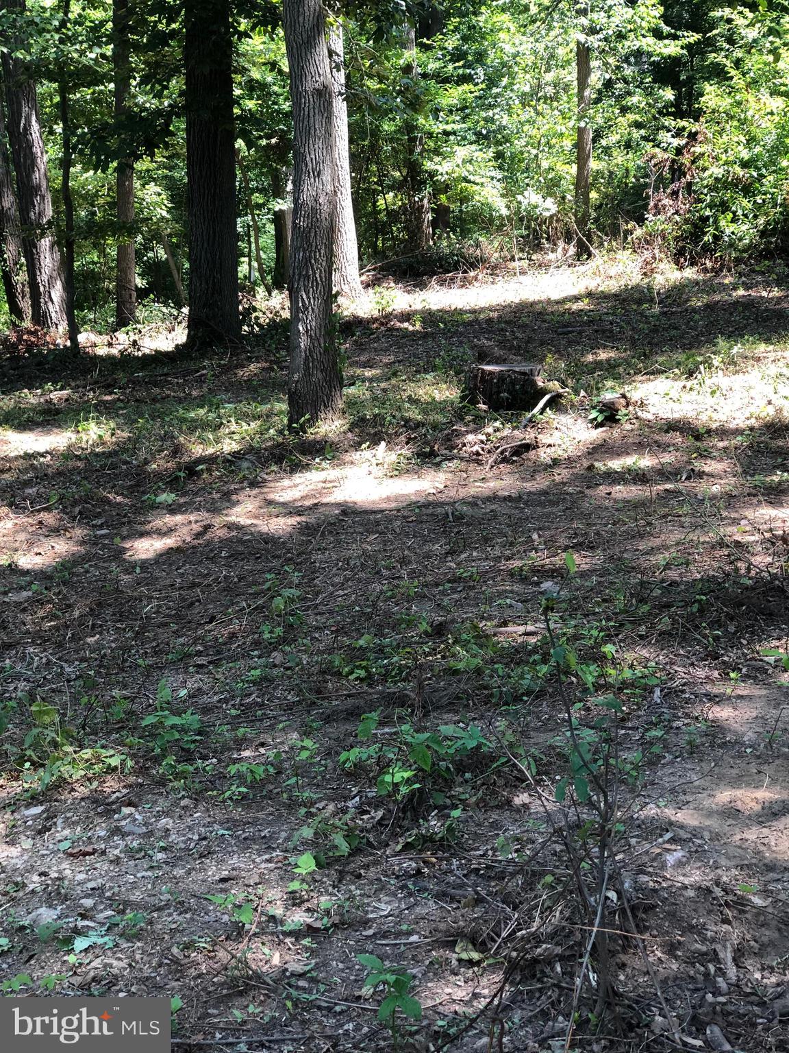 Lot 2 Brehm Road Westminster, MD 21157 - Photo 5 of 7 Lot