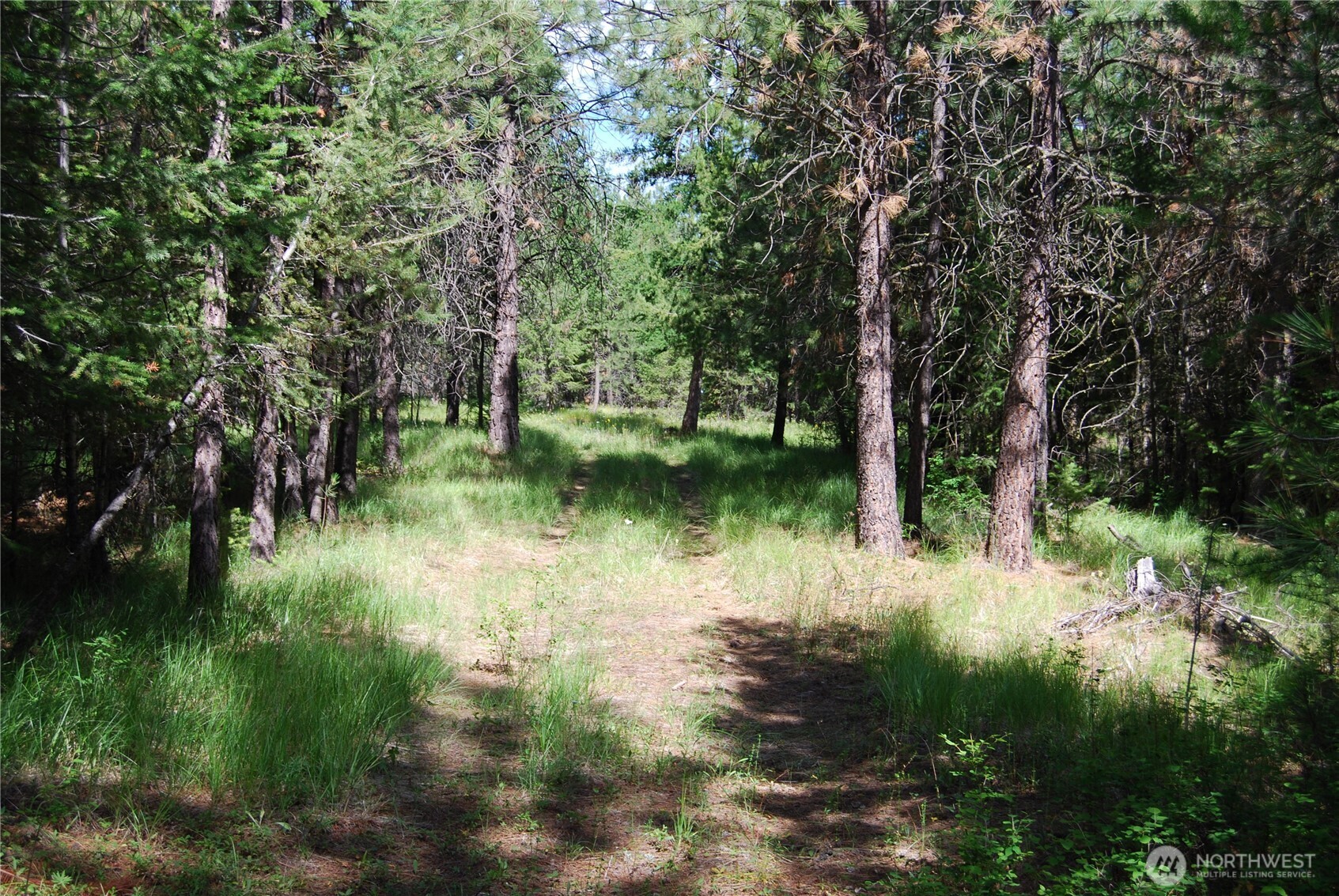 30-23 Wild Turkey Lane Riverside, WA 98849 - Photo 1 of 17 a view of lake with green space