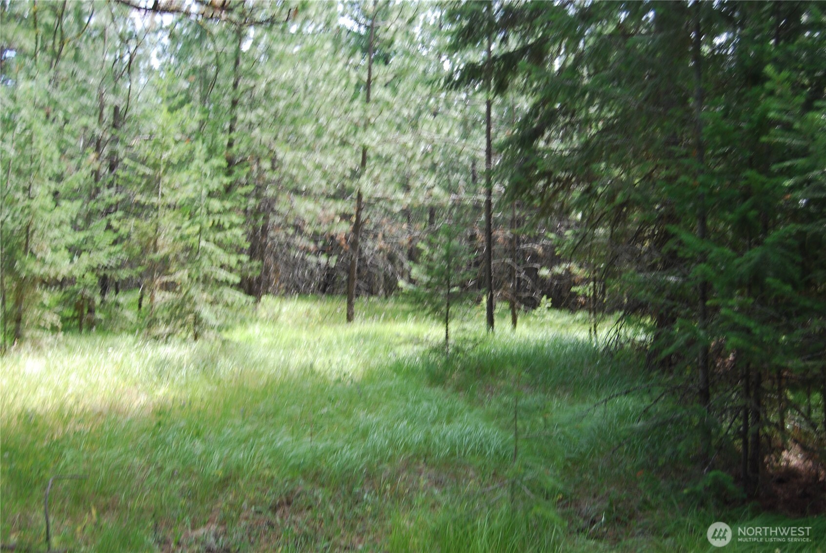 30-23 Wild Turkey Lane Riverside, WA 98849 - Photo 14 of 17 a view of outdoor space and a yard
