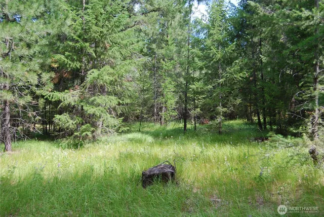 $65,500 | 30-23 Wild Turkey Lane, Riverside, WA 98849