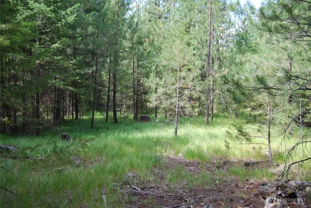 $65,500 | 30-23 Wild Turkey Lane, Riverside, WA 98849