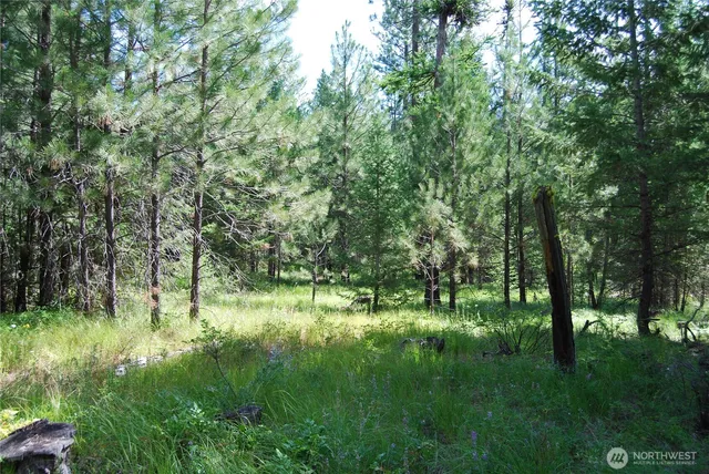 a big yard with lots of green space and deers